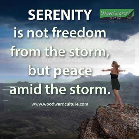 Serenity is not freedom from the storm | Quotes | Woodward Culture