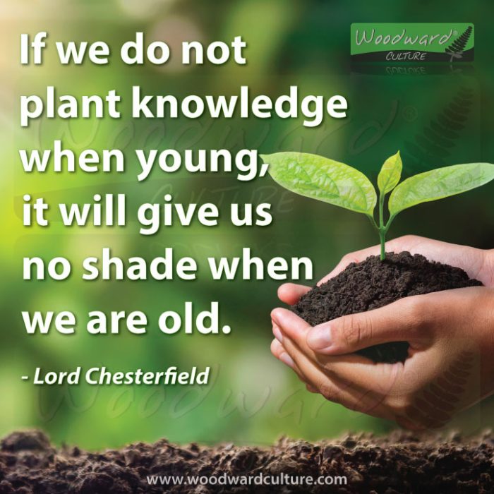 If We Do Not Plant Knowledge When Young 