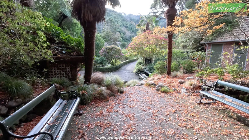 Wellington Botanic Garden in Autumn - New Zealand - Woodward Culture Travel Guide