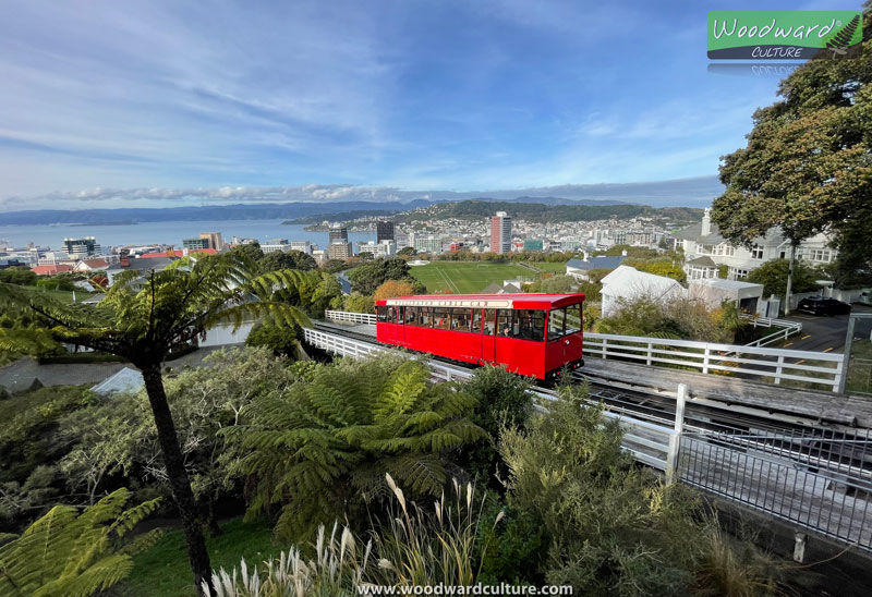 The best view of Wellington with the Wellington Cable Car, New Zealand - Woodward Culture Travel Guide