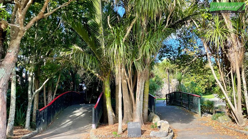 Two bridges at Western Springs, Auckland, New Zealand - Woodward Culture