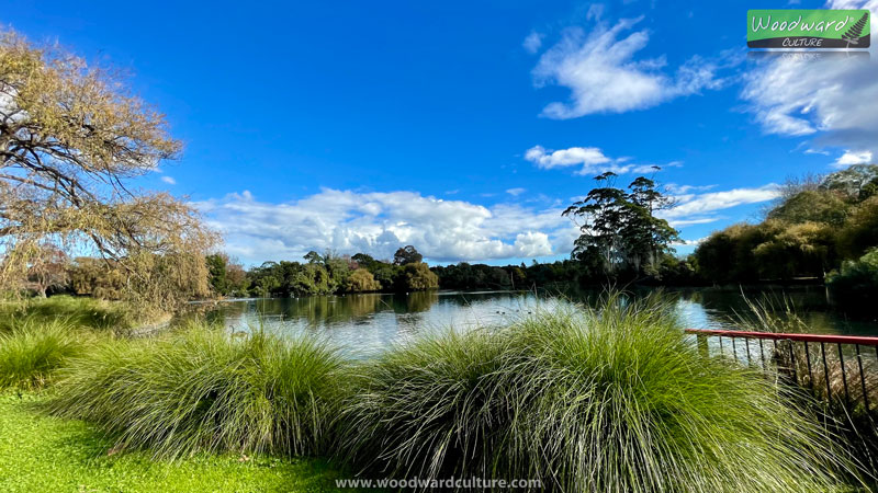 Western Springs Lakeside, Auckland, NZ - Woodward Culture