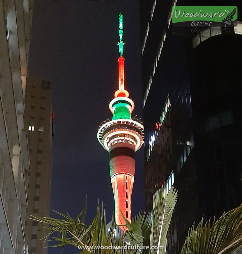 Auckland Sky Tower at night with lights - New Zealand - Woodward Culture Travel Guide