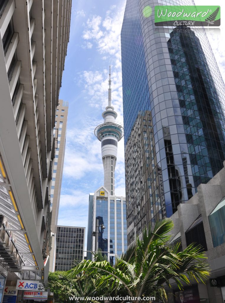 Auckland Sky Tower between buildings - New Zealand - Woodward Culture Travel Guide