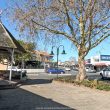 Gazebo on the corner of Picton Street and Uxbridge Road in Howick, Auckland, New Zealand - Woodward Culture