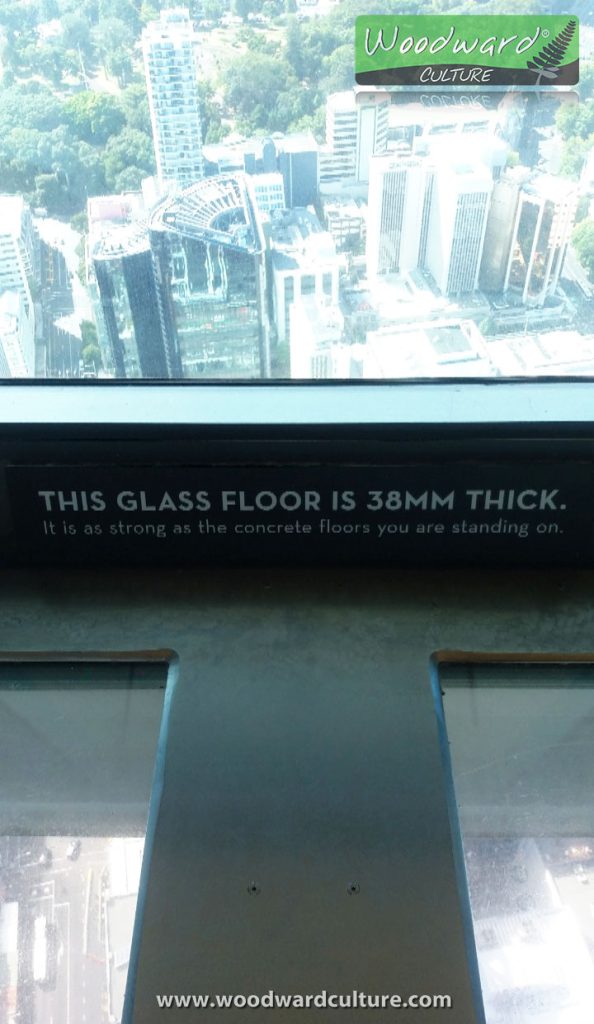 Glass floor of Sky Tower Auckland New Zealand - Woodward Culture Travel Guide