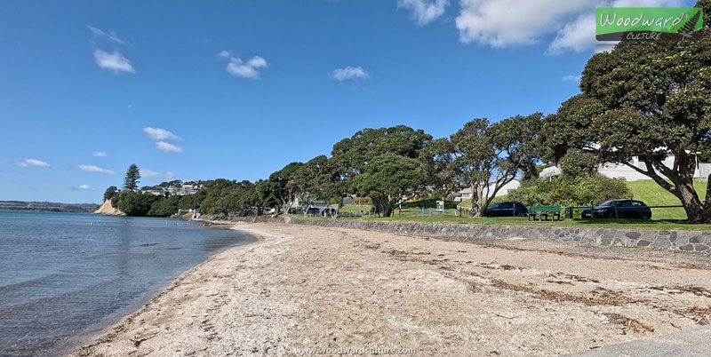 Howick Beach Auckland New Zealand - Woodward Culture