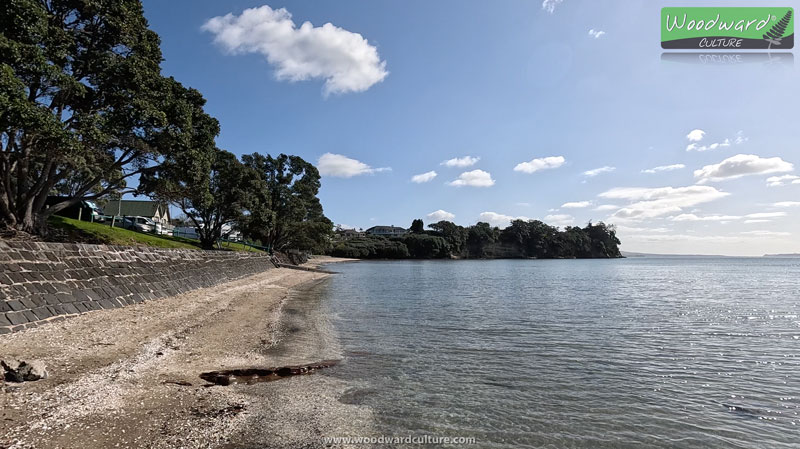 Howick Beach in Auckland NZ - Woodward Culture