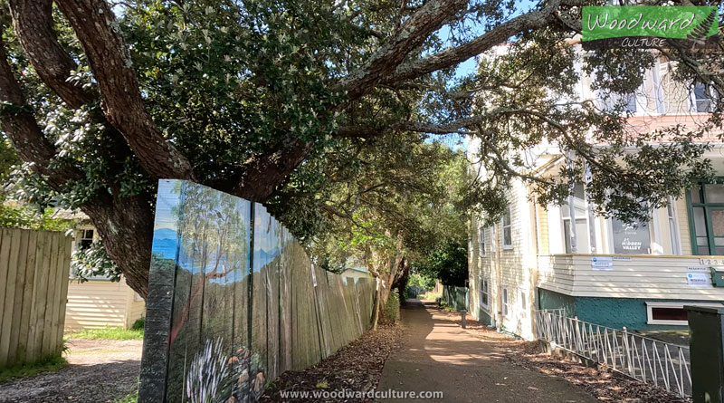 Painted fence artwork and walkway in Ponsonby - Auckland, New Zealand - Woodward Culture