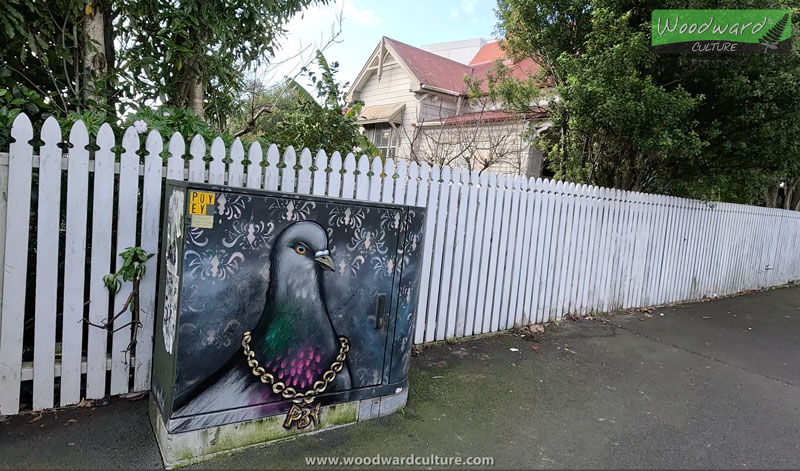 Ponsonby Pigeon Artwork - Auckland, New Zealand - Woodward Culture