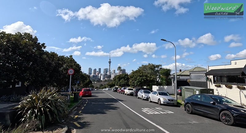 Side street in Ponsonby with Sky Tower in the distance - Auckland, New Zealand - Woodward Culture