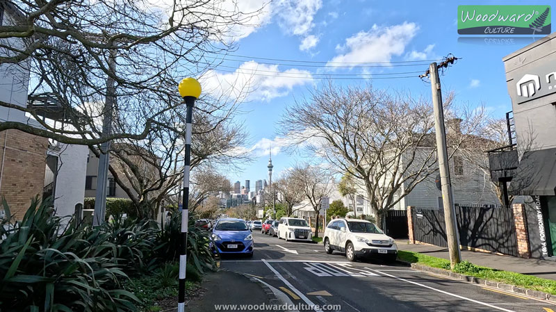 Side street in Ponsonby with winter trees and Sky Tower in the distance - Auckland, New Zealand - Woodward Culture