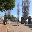 Runner going through a gate at Cornwall Park, Auckland, New Zealand - Woodward Culture