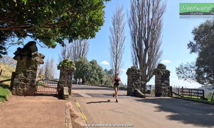 Cornwall Park & One Tree Hill | Auckland, New Zealand