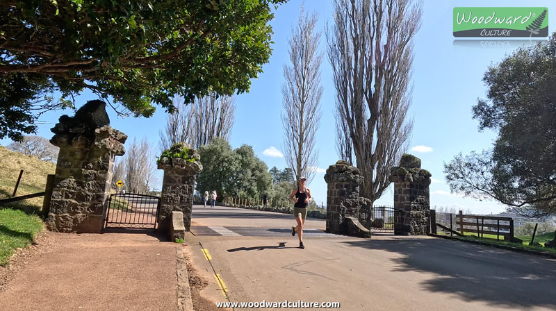 Runner going through a gate at Cornwall Park, Auckland, New Zealand - Woodward Culture