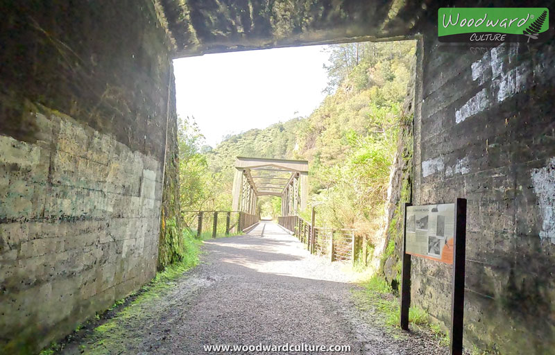 End of the rail tunnel with bridge at Karangahake Gorge, New Zealand - Woodward Culture