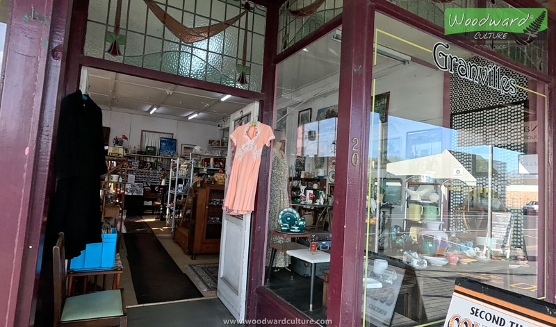 Inside an Antique Shop in Paeroa, New Zealand - Woodward Culture