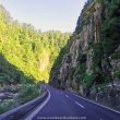 Karangahake Gorge - New Zealand - Woodward Culture