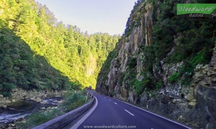 Driving through Karangahake Gorge – Waihi to Paeroa