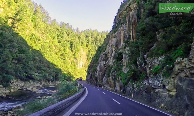 Driving through Karangahake Gorge – Waihi to Paeroa