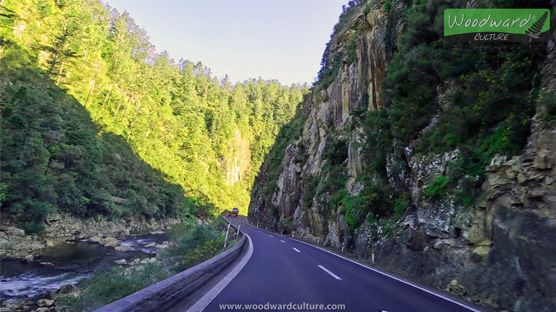 Karangahake Gorge - New Zealand - Woodward Culture