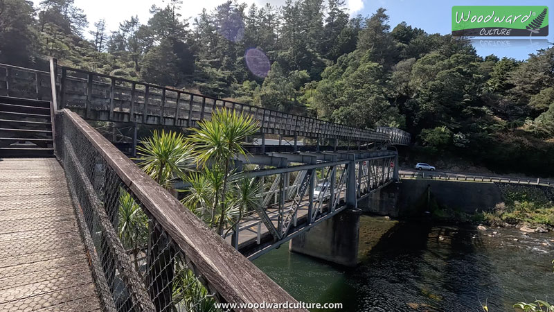 Ohinemuri Bridge in the Karangahake Gorge, New Zealand - Woodward Culture