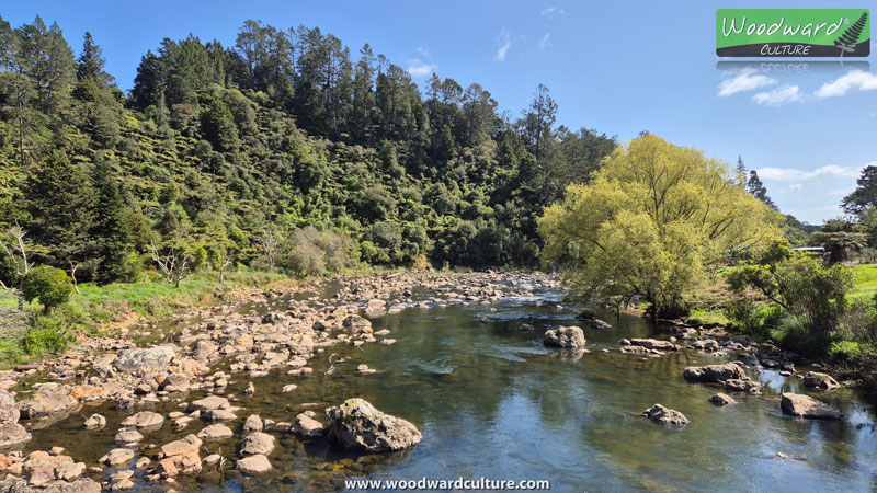 Ohinemuri River in the Karangahake Gorge, New Zealand - Woodward Culture