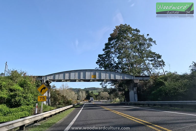 Overhead Rail Bridge near Waihi New Zealand - Woodward Culture Travel Guide