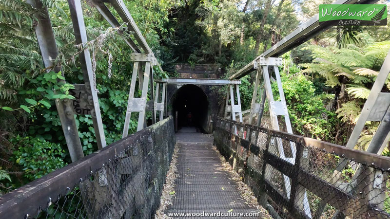 Rail Tunnel Loop Walk at Karangahake Gorge, New Zealand - Woodward Culture