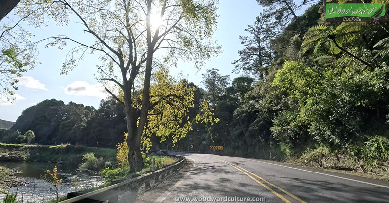 The river beside the road on Karangahake Gorge in New Zealand - Woodward Culture Travel Guide