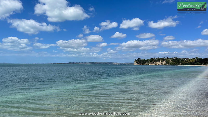 Eastern Beach Auckland NZ - Woodward Culture Travel Guide