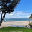 Macleans Park at the end of Eastern Beach Auckland New Zealand - Woodward Culture Travel NZ