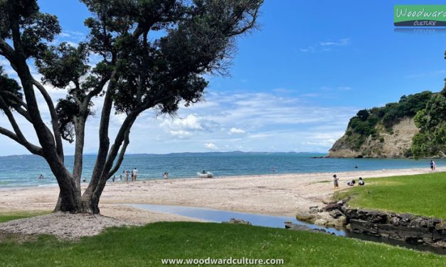 Eastern Beach | Auckland, New Zealand