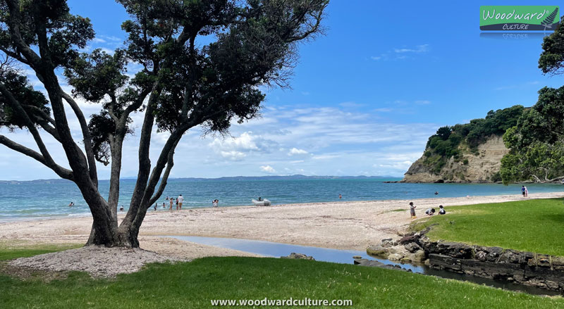 Macleans Park at the end of Eastern Beach Auckland New Zealand - Woodward Culture Travel NZ