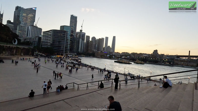 Circular Quay at Dusk as seen from the steps of Sydney Opera House - Australia - Woodward Culture