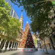 Martin Place Christmas Tree and Historic Buildings Sydney Australia