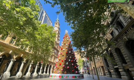 Martin Place Christmas Tree | Sydney