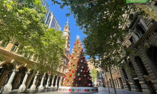 Martin Place Christmas Tree | Sydney