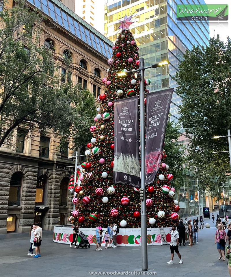 Martin Place Christmas Tree Sydney Australia - Woodward Culture