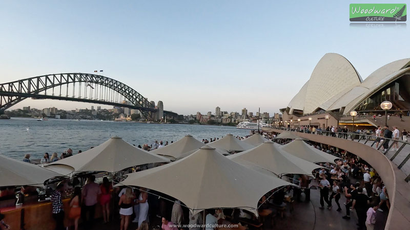 View of the Sydney Opera House and the Sydney Harbour Bridge as well as some shades at some local bars - Woodward Culture