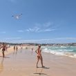 Bondi Beach Sydney Australia in Summer - Woodward Culture