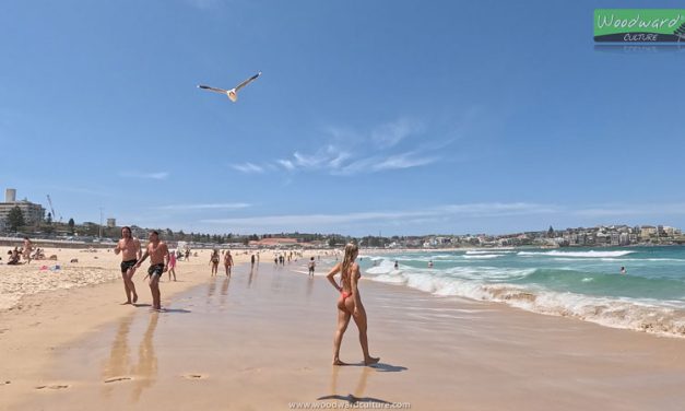 Bondi Beach – Sydney